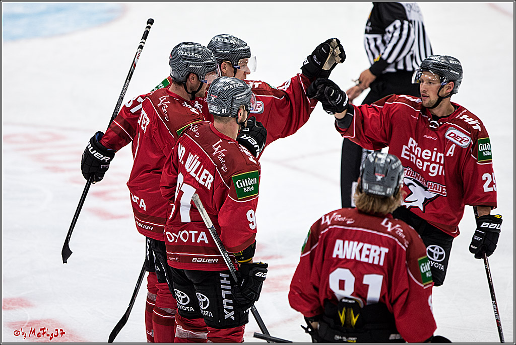 Koelner Haie - Straubing Tigers, 03.10.2016